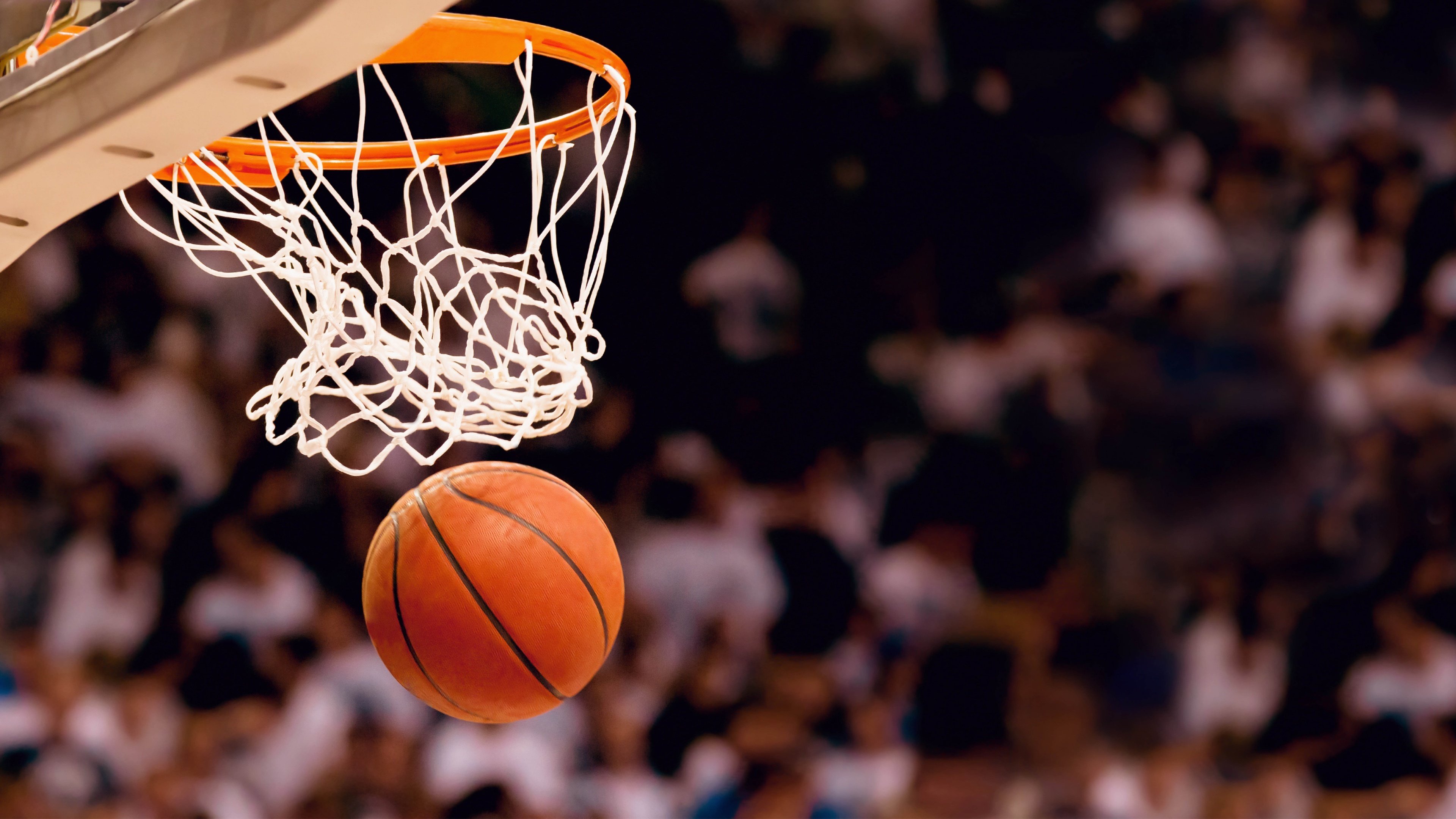 北美主场复盘热度不减，世界杯伤病潮迎硬仗考验